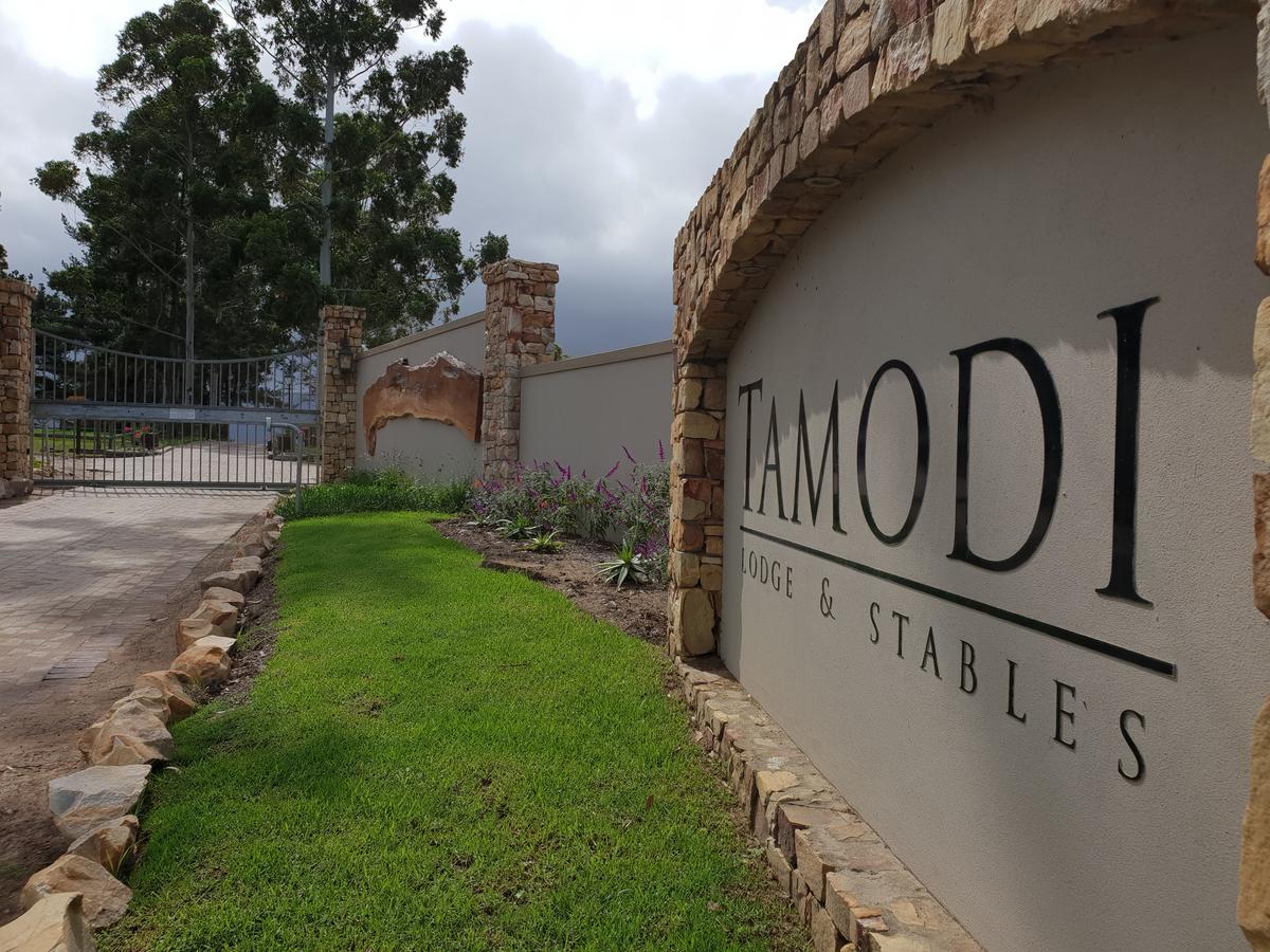 Tamodi Lodge เพลตเตนเบิร์กเบย์ ภายนอก รูปภาพ